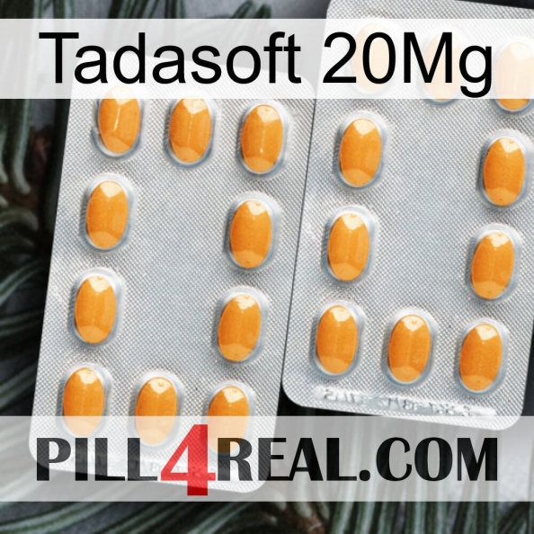 Tadasoft 20Mg cialis4.jpg